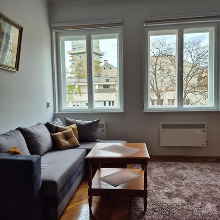 Tulip * سراييفو