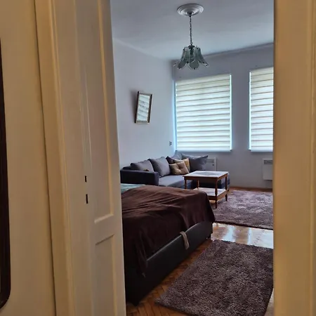 Tulip * سراييفو